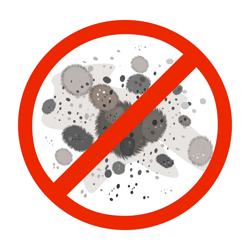 No,Mold,Sign,Isolated,On,White,Background.,Stop,Mold,Icon